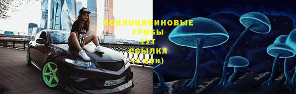 твердый Алексеевка
