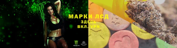 дурь Алзамай