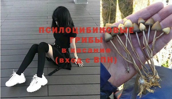 дурь Алзамай