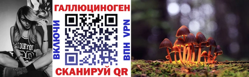 купить  цена  Тара  Галлюциногенные грибы мухоморы 